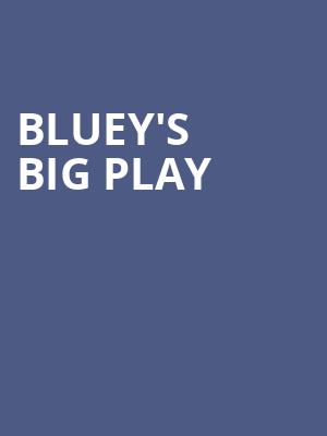 Blueys Big Play, Broome County Forum, Binghamton